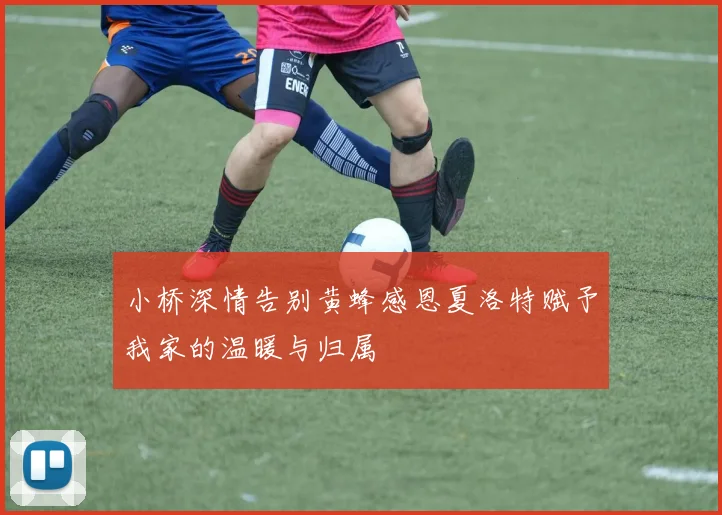 小桥深情告别黄蜂感恩夏洛特赋予我家的温暖与归属