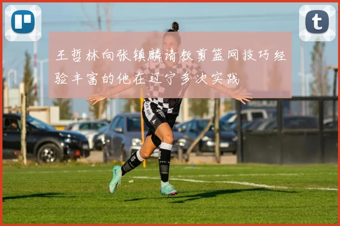 王哲林向张镇麟请教剪篮网技巧经验丰富的他在辽宁多次实践
